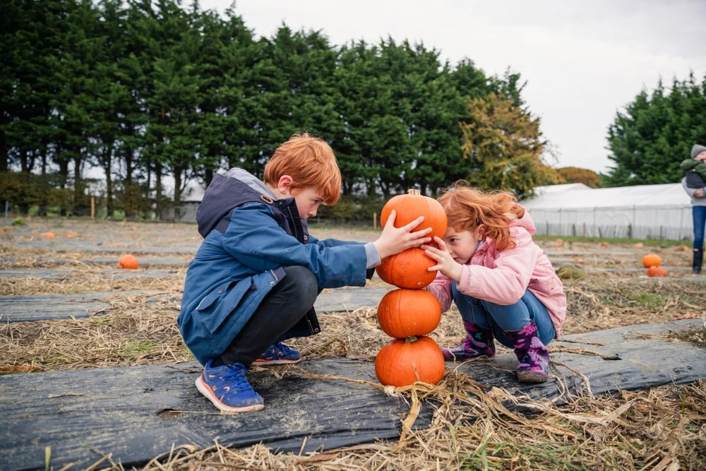 Looking for fun seasonal activities for kids? Have fun all year long with these creative ideas–from winter crafts to solar s’mores!
