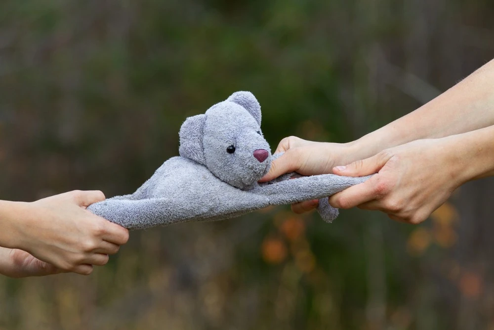 Need help managing tense sibling relationships? We've got tips to help you get to the root of the issue and restore calm!