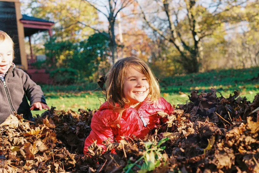 Children playing in pile of autumn leaves